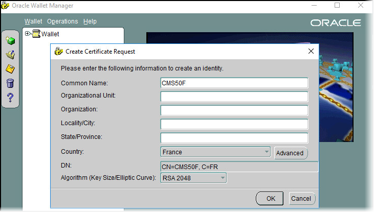 Oracle Wallet Manager Create Certificate Request dialog box where you can enter various information about the certificate request